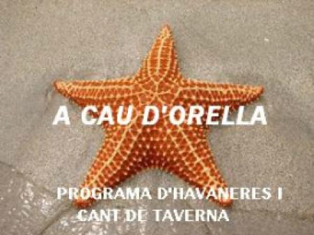 Sons a cau d'orella